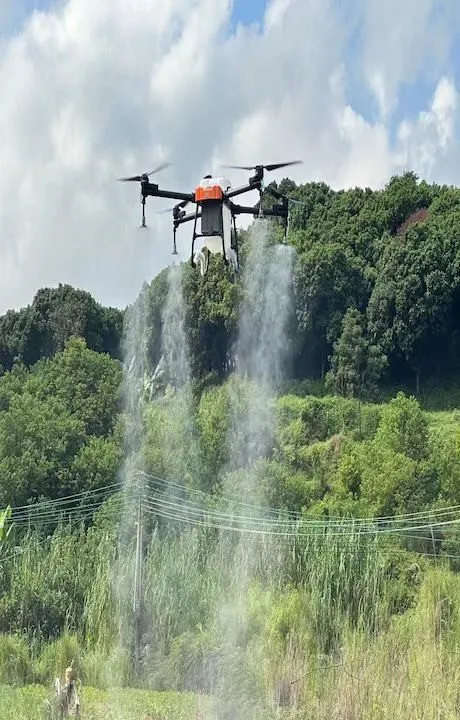 Der Außentestflug der ZAi-50-Agrardrohnen war ein voller Erfolg